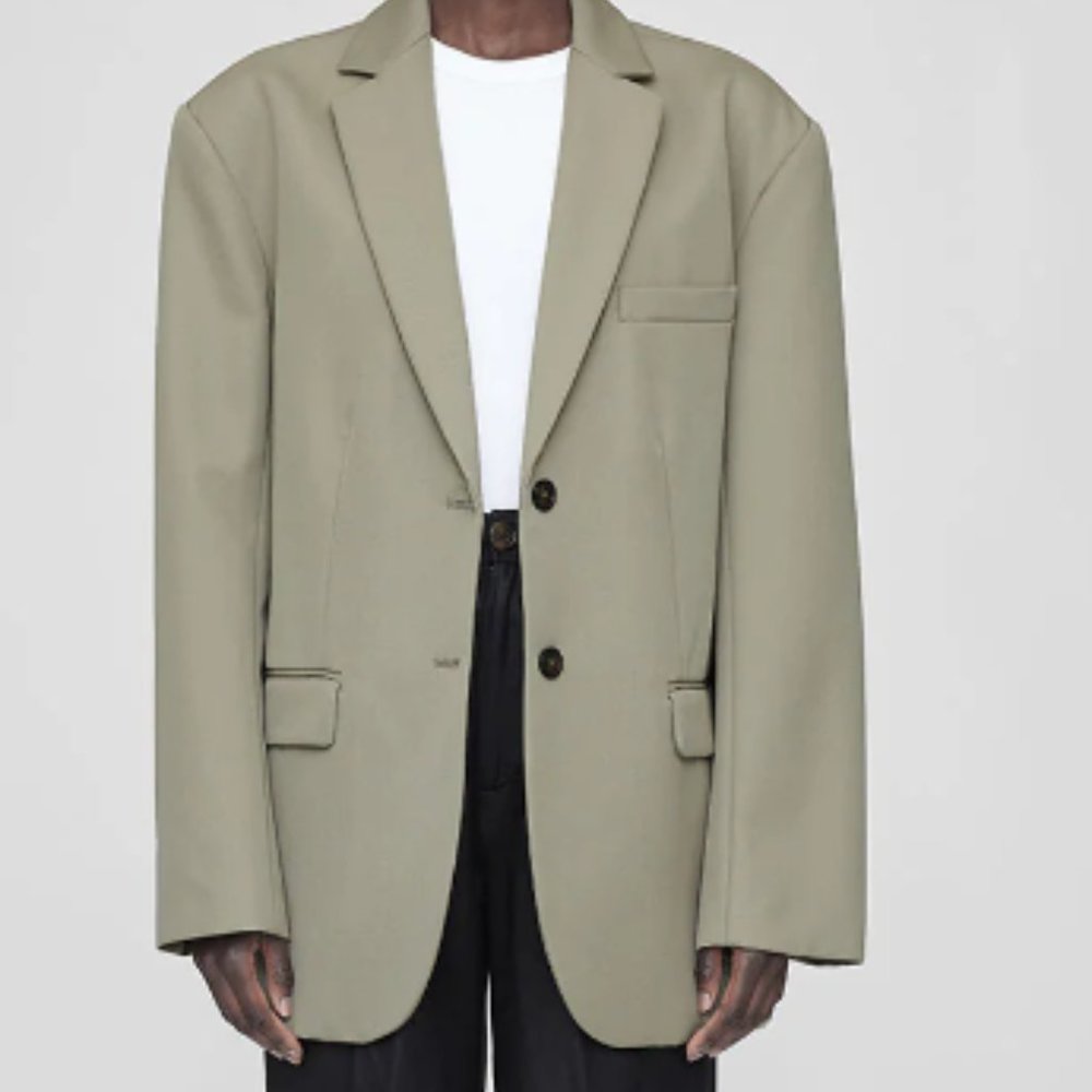 Anine Bing Quinn Blazer (NWOT)